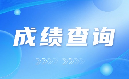 2025年天津美术学院专升本成绩查询公告