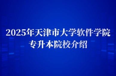 2025年天津市大学软件学院专升本院校介绍