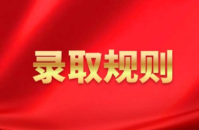 2025年天津市大学软件学院专升本录取规则
