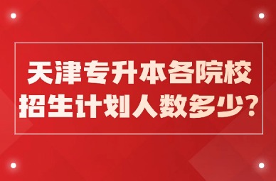 2025年天津专升本各院校招生计划人数多少?