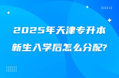 2025年天津专升本新生入学后怎么分配?