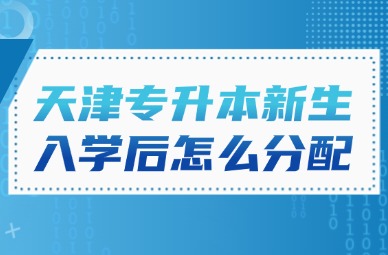 2026年天津专升本新生入学后怎么分配?